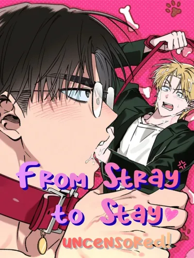 From Stray to Stay - ภารกิจฝึกนายหมาป่าให้เป็นมนุษย์