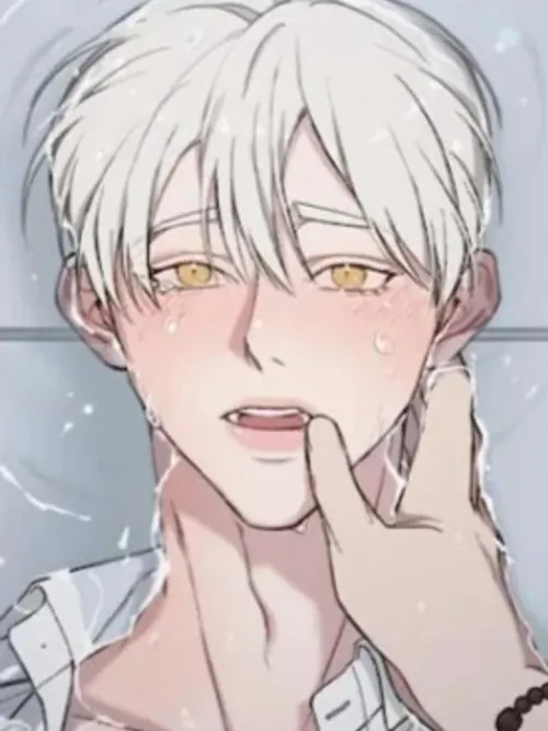 Night of Confession - คืนเปลื้องบาป